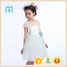 GZ fábrica baby girl party dress 2 ano de idade novo design crianças vestido de modelo tutu de aniversário de hortelã appliqued